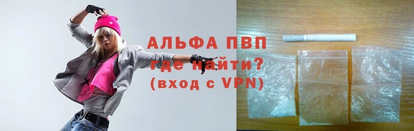 молекула духа Козельск