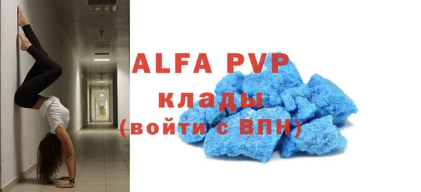 молекула духа Козельск