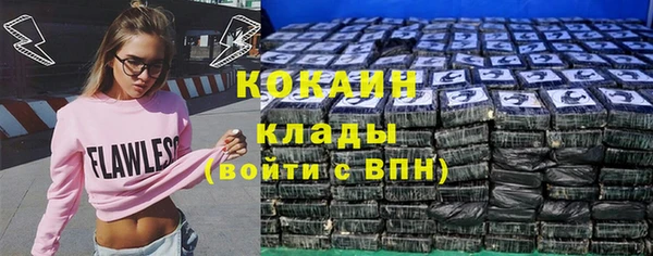 a pvp Курчалой