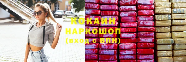 молекула духа Козельск