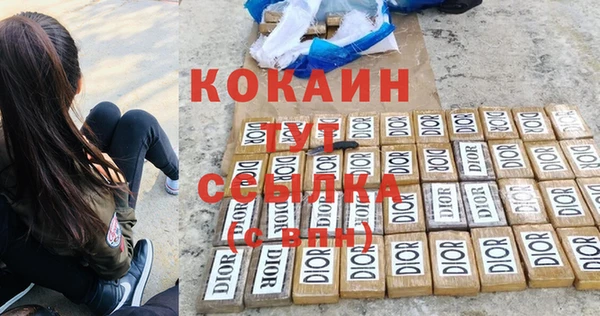 хмурый Козловка