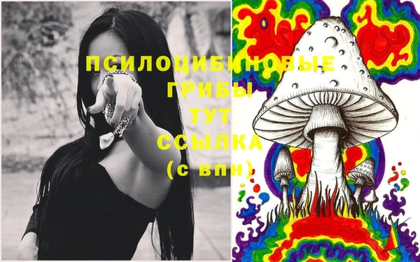 хмурый Козловка