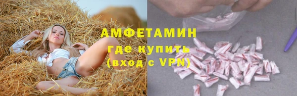молекула духа Козельск