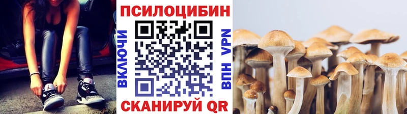 где найти наркотики  Называевск  Галлюциногенные грибы MAGIC MUSHROOMS 