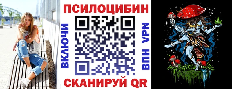 Галлюциногенные грибы Psilocybe Называевск